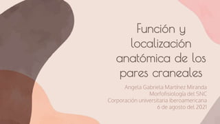 Función y
localización
anatómica de los
pares craneales
Angela Gabriela Martínez Miranda
Morfofisiología del SNC
Corporación universitaria iberoamericana
6 de agosto del 2021
 