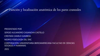 Función y localización
anatómica de los pares craneales
PRESENTADO POR
SERGIO ALEJANDRO CASANOVA CASTILLO
CRISTIAN CAMILO GAMBOA
MORFO FISIOLOGÍA DEL SNC
CORPORACIÓN UNIVERSITARIA IBEROAMERICANA FACULTAD DE CIENCIAS
SOCIALES Y HUMANAS
2021
Función y localización anatómica de los pares craneales
 