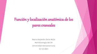 Función y localización anatómica de los
pares craneales
Mayra Alejandra Doria Mejía
Morfofisiología del SN
Universidad iberoamericana
12/12/2021
 