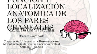 Doris Andrea Cumbal Cuesta
C.C. No. 1.088.595.197 de Cumbal
Docente Jorge Avila
Corporación Universitaria Iberoamericana
Morfofisiología del sistema nervioso central
Cumbal – Nariño
2017
 
