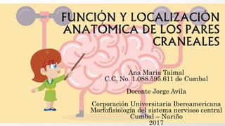 Ana Maria Taimal
C.C. No. 1.088.595.611 de Cumbal
Docente Jorge Avila
Corporación Universitaria Iberoamericana
Morfofisiología del sistema nervioso central
Cumbal – Nariño
2017
 