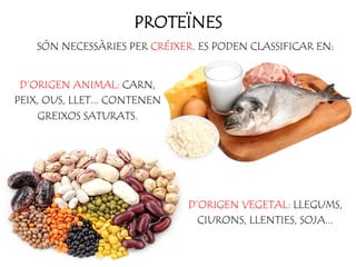 PROTEÏNES
SÓN NECESSÀRIES PER CRÉIXER. ES PODEN CLASSIFICAR EN:
D’ORIGEN ANIMAL: CARN,
PEIX, OUS, LLET... CONTENEN
GREIXOS SATURATS.
D’ORIGEN VEGETAL: LLEGUMS,
CIURONS, LLENTIES, SOJA...
 