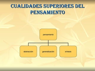Cualidades superiores del pensamiento pensamiento abstracción generalización síntesis 
