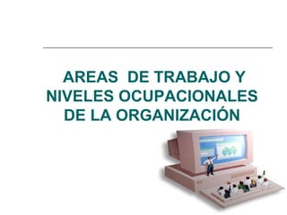  AREAS DE TRABAJO Y
NIVELES OCUPACIONALES
DE LA ORGANIZACIÓN
 