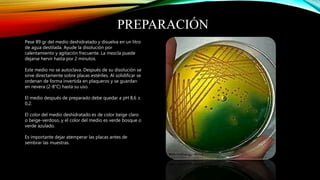 PREPARACIÓN
Pese 89 gr del medio deshidratado y disuelva en un litro
de agua destilada. Ayude la disolución por
calentamiento y agitación frecuente. La mezcla puede
dejarse hervir hasta por 2 minutos.
Este medio no se autoclava. Después de su disolución se
sirve directamente sobre placas estériles. Al solidificar se
ordenan de forma invertida en plaqueros y se guardan
en nevera (2-8°C) hasta su uso.
El medio después de preparado debe quedar a pH 8,6 ±
0,2.
El color del medio deshidratado es de color beige claro
o beige-verdoso, y el color del medio es verde bosque o
verde azulado.
Es importante dejar atemperar las placas antes de
sembrar las muestras.
 