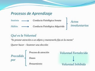 Función de la conciencia