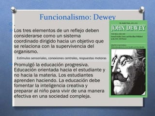 Estímulos sensoriales, conexiones centrales, respuestas motoras
 