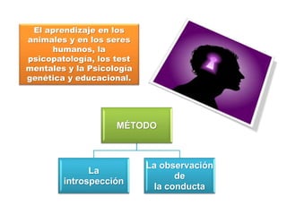 El aprendizaje en los
animales y en los seres
humanos, la
psicopatología, los test
mentales y la Psicología
genética y educacional.
MÉTODO
La
introspección
La observación
de
la conducta
 
