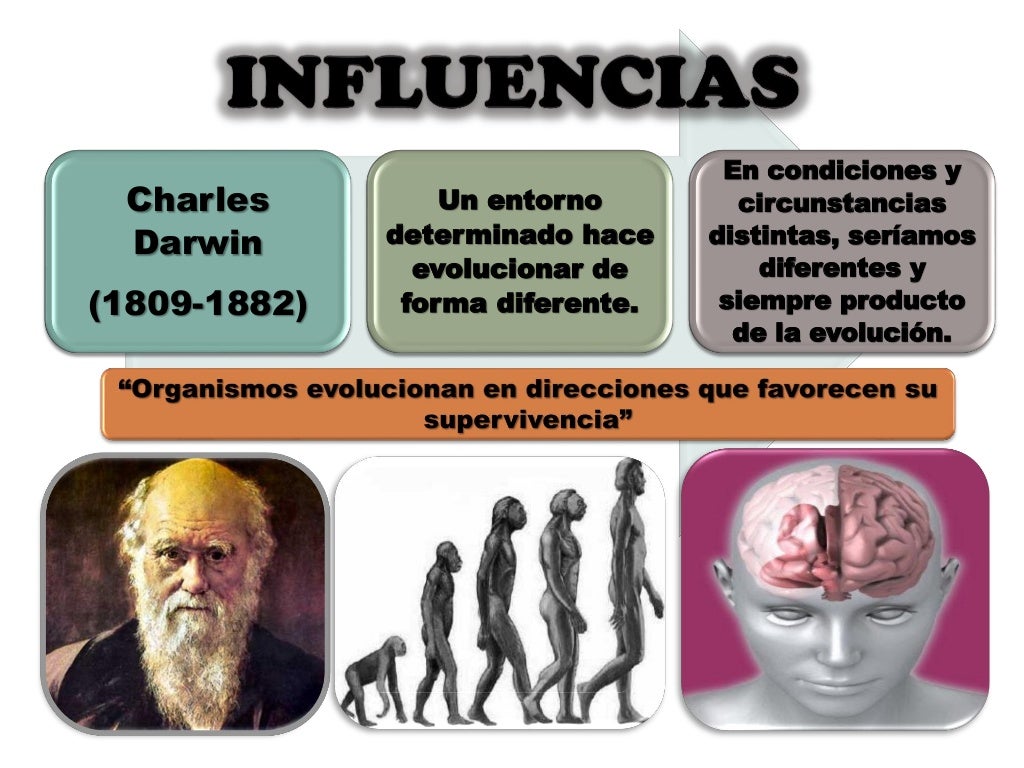 Teoria critica ejemplos