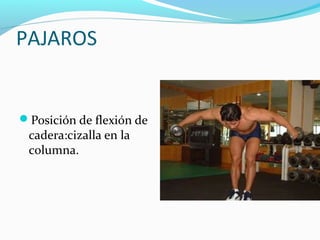 PAJAROS


Posición de flexión de
 cadera:cizalla en la
 columna.
 