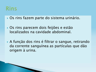 





Os rins fazem parte do sistema urinário.
Os rins parecem dois feijões e estão
localizados na cavidade abdominal.
A função dos rins é filtrar o sangue, retirando
da corrente sanguínea as partículas que dão
origem à urina.

 