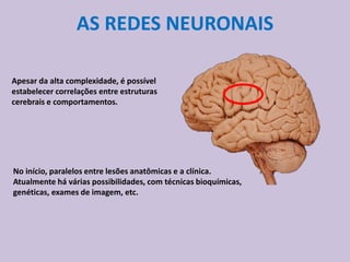 AS REDES NEURONAIS

Apesar da alta complexidade, é possível
estabelecer correlações entre estruturas
cerebrais e comportamentos.




No início, paralelos entre lesões anatômicas e a clínica.
Atualmente há várias possibilidades, com técnicas bioquímicas,
genéticas, exames de imagem, etc.
 