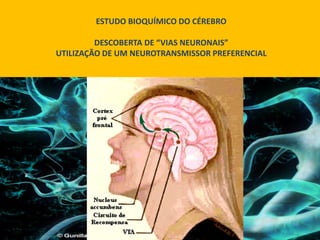 ESTUDO BIOQUÍMICO DO CÉREBRO

         DESCOBERTA DE “VIAS NEURONAIS”
UTILIZAÇÃO DE UM NEUROTRANSMISSOR PREFERENCIAL
 