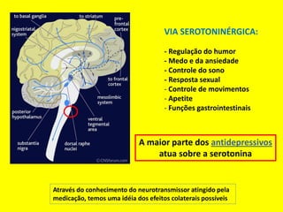 VIA SEROTONINÉRGICA:

                                     - Regulação do humor
                                     - Medo e da ansiedade
                                     - Controle do sono
                                     - Resposta sexual
                                     - Controle de movimentos
                                     - Apetite
                                     - Funções gastrointestinais



                            A maior parte dos antidepressivos
                                atua sobre a serotonina


Através do conhecimento do neurotransmissor atingido pela
medicação, temos uma idéia dos efeitos colaterais possíveis
 