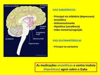 VIAS GABAÉRGICAS:

           - Principal via inibitória (depressora)
           - Ansiolítica
           - Anticonvulsivante
           - Hipnótica (sonolência)
           - Inibe memória/cognição


           VIAS GLUTAMATÉRGICAS

           - Principal via excitatória




As medicações ansiolíticas e contra insônia
    (hipnóticas) agem sobre o Gaba
 
