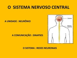O SISTEMA NERVOSO CENTRAL

A UNIDADE : NEURÔNIO




     A COMUNICAÇÃO : SINAPSES



              O SISTEMA : REDES NEURONAIS
 