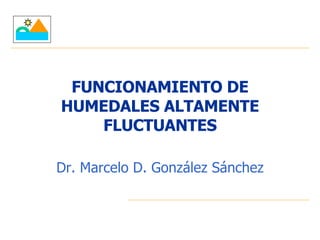 FUNCIONAMIENTO DE HUMEDALES ALTAMENTE FLUCTUANTES Dr. Marcelo D. González Sánchez 