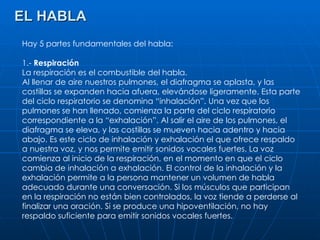 EL HABLA Hay 5 partes fundamentales del habla: 1.-  Respiración La respiración es el combustible del habla. Al llenar de aire nuestros pulmones, el diafragma se aplasta, y las costillas se expanden hacia afuera, elevándose ligeramente. Esta parte del ciclo respiratorio se denomina “inhalación”. Una vez que los pulmones se han llenado, comienza la parte del ciclo respiratorio correspondiente a la “exhalación”. Al salir el aire de los pulmones, el diafragma se eleva, y las costillas se mueven hacia adentro y hacia abajo. Es este ciclo de inhalación y exhalación el que ofrece respaldo a nuestra voz, y nos permite emitir sonidos vocales fuertes. La voz comienza al inicio de la respiración, en el momento en que el ciclo cambia de inhalación a exhalación. El control de la inhalación y la exhalación permite a la persona mantener un volumen de habla adecuado durante una conversación. Si los músculos que participan en la respiración no están bien controlados, la voz tiende a perderse al finalizar una oración. Si se produce una hipoventilación, no hay respaldo suficiente para emitir sonidos vocales fuertes. 