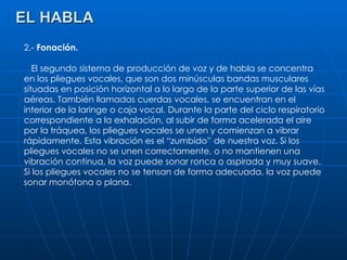 EL HABLA 2.-  Fonación. El segundo sistema de producción de voz y de habla se concentra en los pliegues vocales, que son dos minúsculas bandas musculares situadas en posición horizontal a lo largo de la parte superior de las vías aéreas. También llamadas cuerdas vocales, se encuentran en el interior de la laringe o caja vocal. Durante la parte del ciclo respiratorio correspondiente a la exhalación, al subir de forma acelerada el aire por la tráquea, los pliegues vocales se unen y comienzan a vibrar rápidamente. Esta vibración es el “zumbido” de nuestra voz. Si los pliegues vocales no se unen correctamente, o no mantienen una vibración continua, la voz puede sonar ronca o aspirada y muy suave. Si los pliegues vocales no se tensan de forma adecuada, la voz puede sonar monótona o plana. 