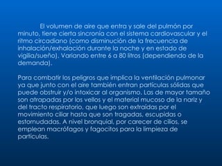 El volumen de aire que entra y sale del pulmón por minuto, tiene cierta sincronía con el sistema cardiovascular y el ritmo circadiano (como disminución de la frecuencia de inhalación/exhalación durante la noche y en estado de vigilia/sueño). Variando entre 6 a 80 litros (dependiendo de la demanda). Para combatir los peligros que implica la ventilación pulmonar ya que junto con el aire también entran partículas sólidas que puede obstruir y/o intoxicar al organismo. Las de mayor tamaño son atrapadas por los vellos y el material mucoso de la nariz y del tracto respiratorio, que luego son extraídas por el movimiento ciliar hasta que son tragadas, escupidas o estornudadas. A nivel bronquial, por carecer de cilios, se emplean macrófagos y fagocitos para la limpieza de partículas. 