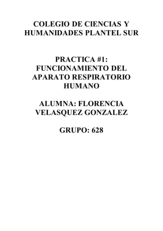 COLEGIO DE CIENCIAS Y
HUMANIDADES PLANTEL SUR
PRACTICA #1:
FUNCIONAMIENTO DEL
APARATO RESPIRATORIO
HUMANO
ALUMNA: FLORENCIA
VELASQUEZ GONZALEZ
GRUPO: 628
 