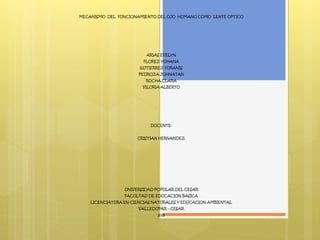 MECANISMO DEL FUNCIONAMIENTO DEL OJO HUMANO COMO LENTE OPTICO
ARIAS EVELYN
FLOREZ YOHANA
GUTIERREZ YURANIS
PEDROZA JOHNATAN
ROCHA CLARA
VILORIA ALBERTO
DOCENTE:
CRISTIAN HERNANDEZ
UNIVERSIDAD POPULAR DEL CESAR
FACULTAD DE EDUCACION BASICA
LICENCIATURA EN CIENCIAS NATURALES Y EDUCACION AMBIENTAL
VALLEDUPAR – CESAR
2015
 