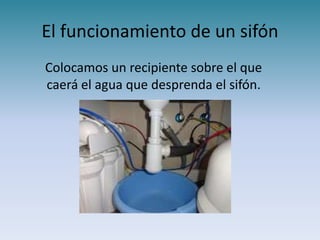 El funcionamiento de un sifón
Colocamos un recipiente sobre el que
caerá el agua que desprenda el sifón.
 