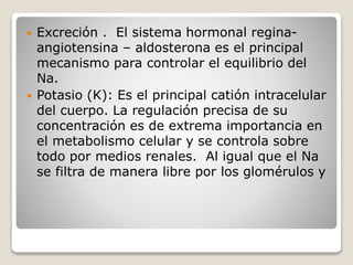  Excreción . El sistema hormonal regina-
angiotensina – aldosterona es el principal
mecanismo para controlar el equilibrio del
Na.
 Potasio (K): Es el principal catión intracelular
del cuerpo. La regulación precisa de su
concentración es de extrema importancia en
el metabolismo celular y se controla sobre
todo por medios renales. Al igual que el Na
se filtra de manera libre por los glomérulos y
 