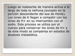  Luego se reabsorbe de manera activa a lo
largo de toda la nefrona.(excepto en la
porción descendente del asa de Henle).
Los iones de K llegan a competir con los
iones de H+ en su intercambio con el
sodio. Este proceso se utiliza por el
cuerpo para conservar los iones de H+ y
de este modo se compensa en estados de
alcalosis metabólica.
 