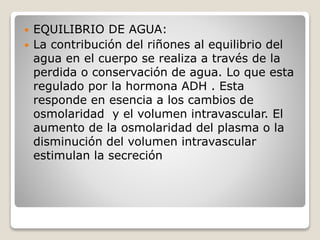  EQUILIBRIO DE AGUA:
 La contribución del riñones al equilibrio del
agua en el cuerpo se realiza a través de la
perdida o conservación de agua. Lo que esta
regulado por la hormona ADH . Esta
responde en esencia a los cambios de
osmolaridad y el volumen intravascular. El
aumento de la osmolaridad del plasma o la
disminución del volumen intravascular
estimulan la secreción
 