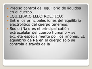  Preciso control del equilibrio de líquidos
en el cuerpo.
 EQUILIBRIO ELECTROLITICO:
 Entre los principales iones del equilibrio
electrolítico del cuerpo tenemos:
 Sodio (Na): es el principal catión
extracelular del cuerpo humano y se
excreta especialmente por los riñones. EL
equilibrio de Na en el cuerpo solo se
controla a través de la
 