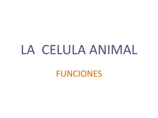 LA CELULA ANIMAL
• Una célula animal es un tipo de célula eucariota de la
que se componen muchos tejidos en los animales
 