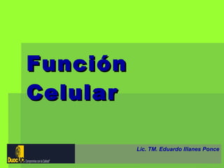 Función Celular Lic. TM. Eduardo Illanes Ponce 