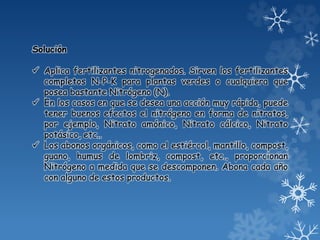 Solución
 Aplica fertilizantes nitrogenados. Sirven los fertilizantes
completos N-P-K para plantas verdes o cualquiera que
posea bastante Nitrógeno (N).
 En los casos en que se desea una acción muy rápida, puede
tener buenos efectos el nitrógeno en forma de nitratos,
por ejemplo, Nitrato amónico, Nitrato cálcico, Nitrato
potásico, etc..
 Los abonos orgánicos, como el estiércol, mantillo, compost,
guano, humus de lombriz, compost, etc., proporcionan
Nitrógeno a medida que se descomponen. Abona cada año
con alguno de estos productos.
 