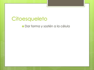 Citoesqueleto
    Dar   forma y sostén a la célula
 