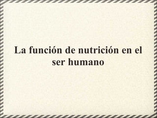   La función de nutrición en el ser humano 