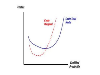 Funcion de produccion