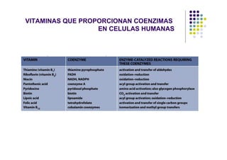 VITAMINAS QUE PROPORCIONAN COENZIMAS
                  EN CELULAS HUMANAS
 
