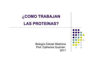 ¿COMO TRABAJAN
LAS PROTEINAS?



    Biología Celular Medicina
    Prof. Catherine Guzmán.
                        2011
 