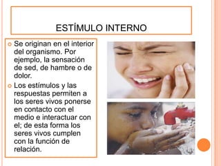 ESTÍMULO INTERNO
 Se originan en el interior
del organismo. Por
ejemplo, la sensación
de sed, de hambre o de
dolor.
 Los estímulos y las
respuestas permiten a
los seres vivos ponerse
en contacto con el
medio e interactuar con
el; de esta forma los
seres vivos cumplen
con la función de
relación.
 