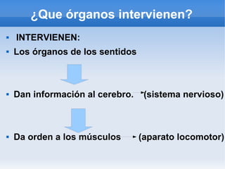 ¿Que órganos intervienen?
 INTERVIENEN:
 Los órganos de los sentidos
 Dan información al cerebro. (sistema nervioso)
 Da orden a los músculos (aparato locomotor)
 
