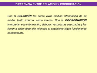 Con la RELACIÓN los seres vivos reciben información de su
medio, tanto externo, como interno. Con la COORDINACIÓN
interpretan esa información, elaboran respuestas adecuadas y las
llevan a cabo; todo ello mientras el organismo sigue funcionando
normalmente.
DIFERENCIA ENTRE RELACIÓN Y COORDINACIÓN
 