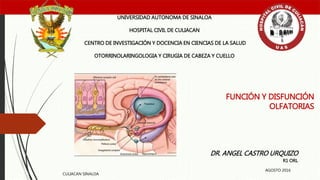 FUNCIÓN Y DISFUNCIÓN
OLFATORIAS
UNIVERSIDAD AUTONOMA DE SINALOA
HOSPITAL CIVIL DE CULIACAN
CENTRO DE INVESTIGACIÓN Y DOCENCIA EN CIENCIAS DE LA SALUD
OTORRINOLARINGOLOGIA Y CIRUGIA DE CABEZA Y CUELLO
DR. ANGEL CASTRO URQUIZO
R1 ORL
CULIACAN SINALOA
AGOSTO 2016
 