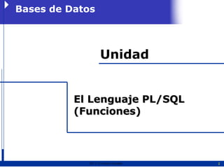 Bases de Datos



                   Unidad


          El Lenguaje PL/SQL
          (Funciones)




            2011   Erwin Fischer   2
 