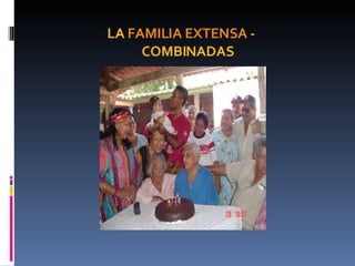 LA  FAMILIA EXTENSA  - COMBINADAS 