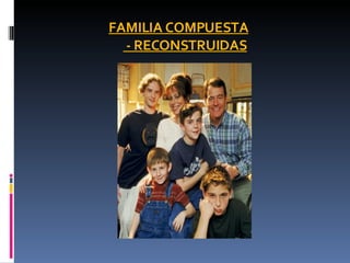 FAMILIA COMPUESTA  - RECONSTRUIDAS 