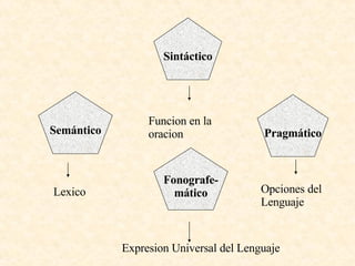 Semántico Sintáctico Fonografe- mático Pragmático Lexico Funcion en la oracion Opciones del Lenguaje Expresion Universal del Lenguaje 