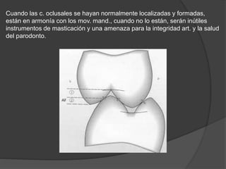 Cuando las c. oclusales se hayan normalmente localizadas y formadas,
están en armonía con los mov. mand., cuando no lo están, serán inútiles
instrumentos de masticación y una amenaza para la integridad art. y la salud
del parodonto.
 