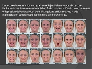 Las expresiones anímicas en gral. se reflejan fielmente por el concurso
ilimitado de contracciones miofaciales. Toda manifestación de dolor, esfuerzo
o depresión deben aparecer bien distinguidas en los rostros, y toda
manifestación sonora debe transmitirse sin impedimento.
 