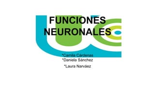 FUNCIONES
NEURONALES
*Camila Cárdenas
*Daniela Sánchez
*Laura Narváez
 